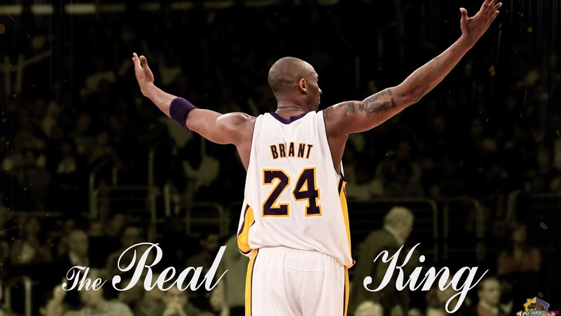 篮球场馆多功能利用率显著提升，篮球场场馆